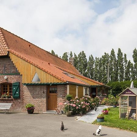 Gite De La Ferme Des Crins Blancs Villa Hazebrouck Eksteriør billede