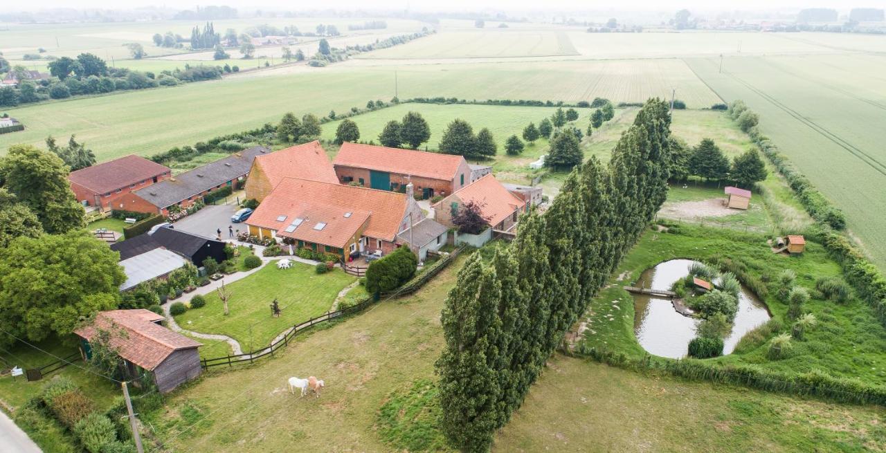 Gite De La Ferme Des Crins Blancs Villa Hazebrouck Eksteriør billede